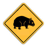 wombat-bord